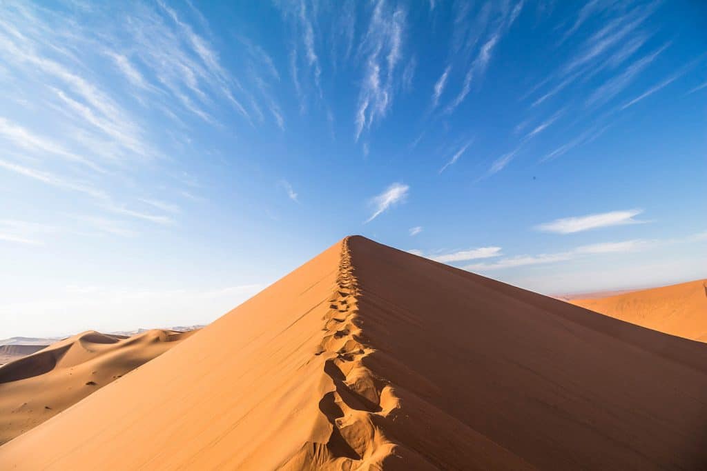 Big Daddy Dune bei Sossusvlei