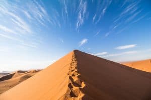 Big Daddy Dune bei Sossusvlei