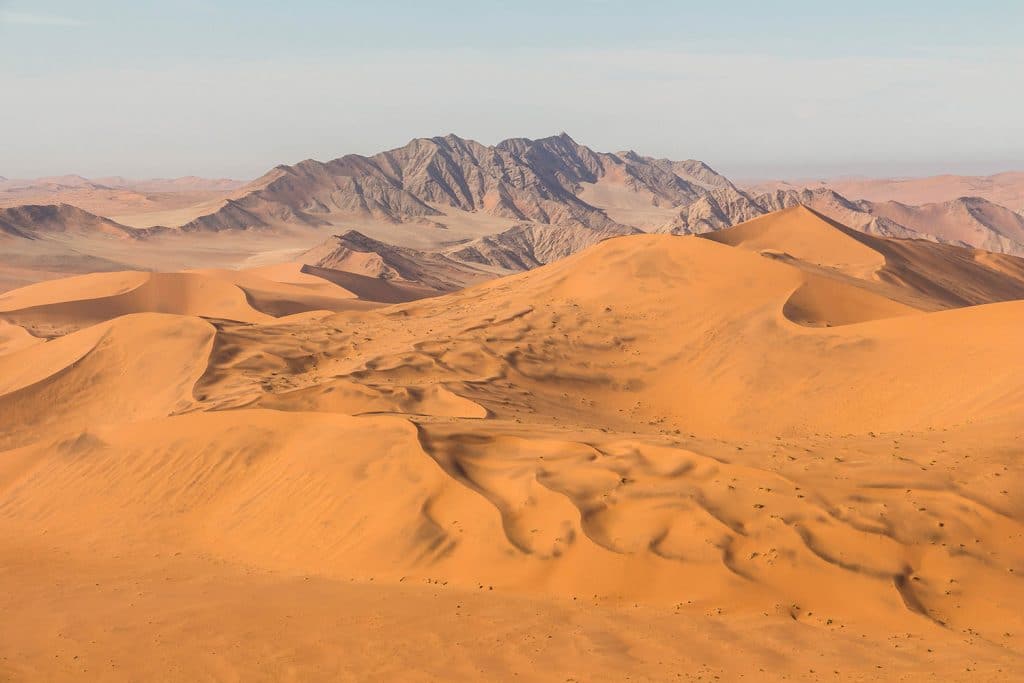 Big Daddy Dune bei Sossusvlei