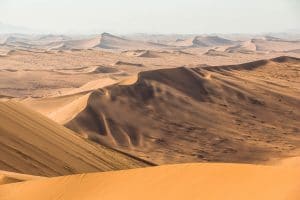 Big Daddy Dune bei Sossusvlei