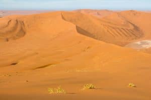 Big Daddy Dune bei Sossusvlei