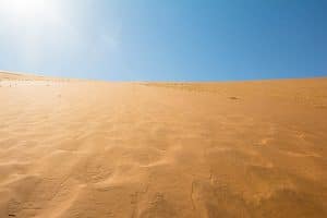 Big Daddy Dune bei Sossusvlei