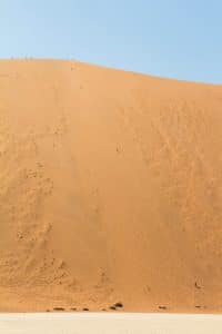 Big Daddy Dune bei Sossusvlei