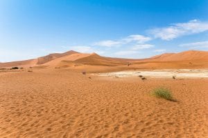 Dead Vlei Sossusvlei