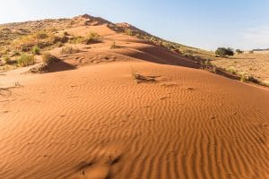 Dead Vlei Sossusvlei