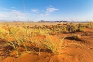 Sossusvlei Dünen bei Sesriem, Namibia