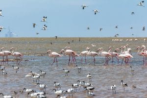 Walvis Bay Sehenswürdigkeiten