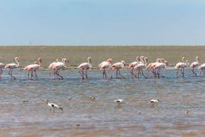 Walvis Bay Sehenswürdigkeiten