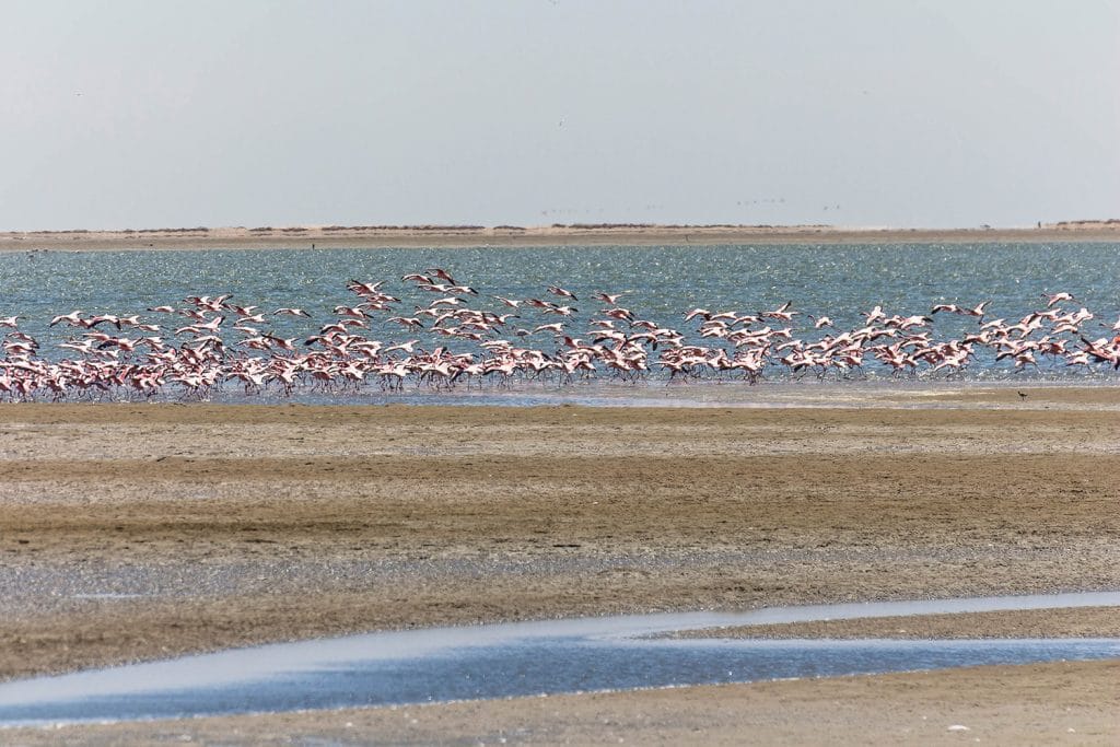 Walvis Bay Sehenswürdigkeiten