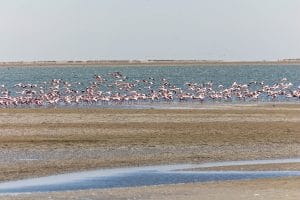 Walvis Bay Sehenswürdigkeiten