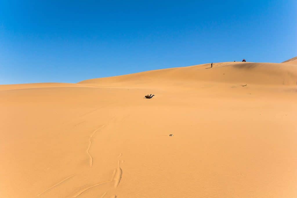 Walvis Bay Sandboarding