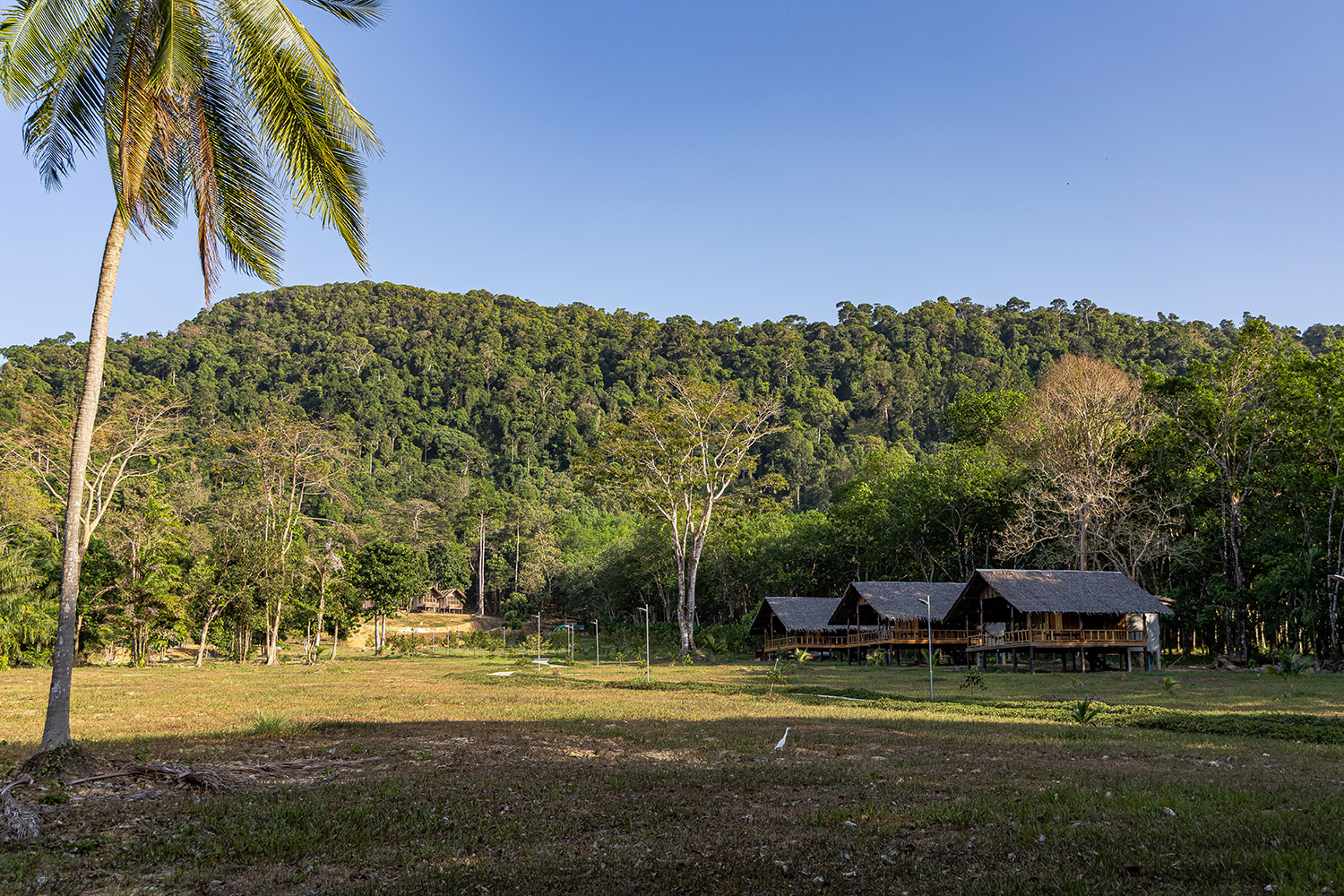 Koh Phayam Dschungel