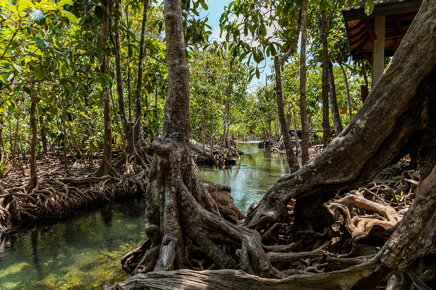 Tha Pom Klong Song Nam Quellen in Krabi Region