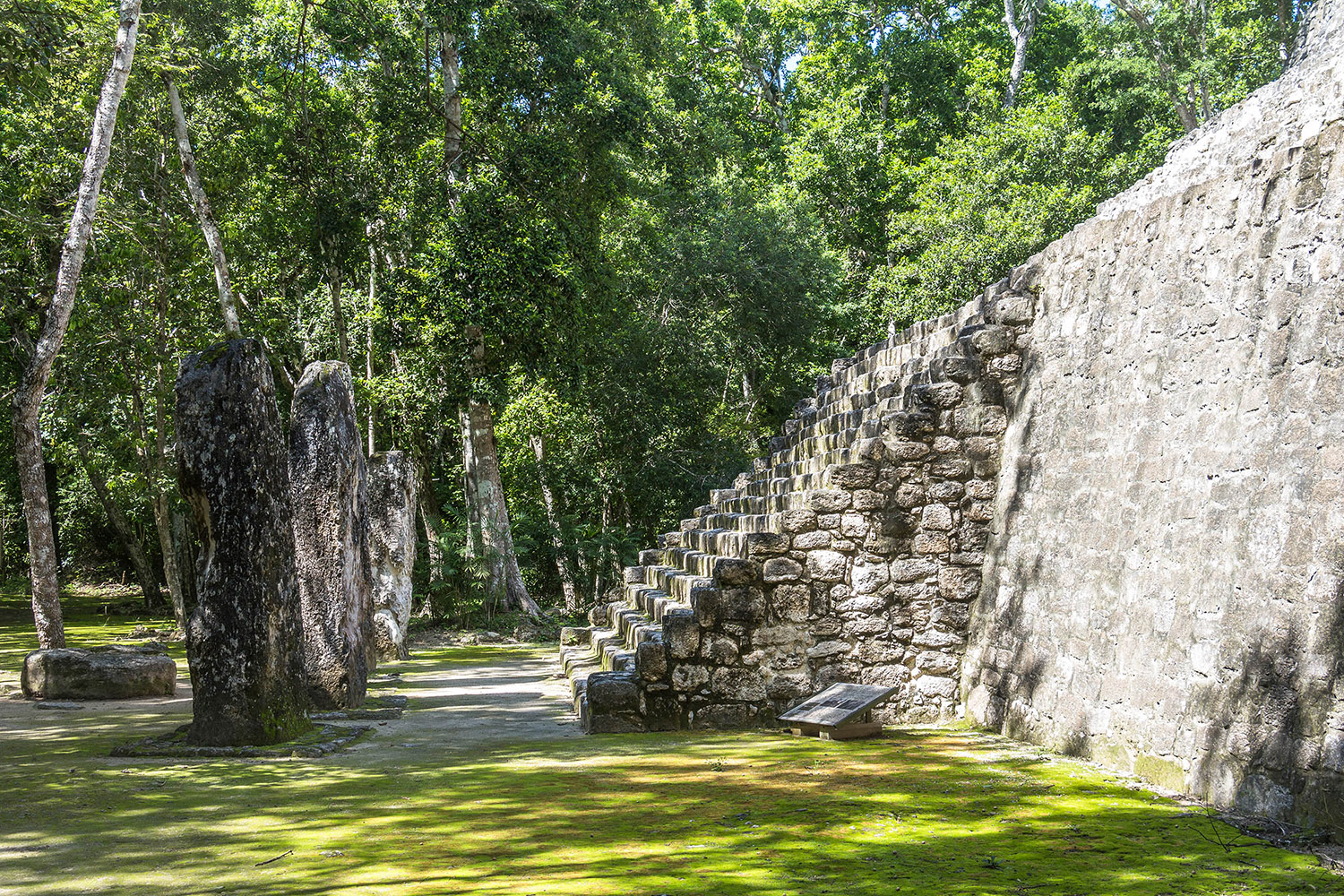 Treppe der Struktur VII, Calakmul