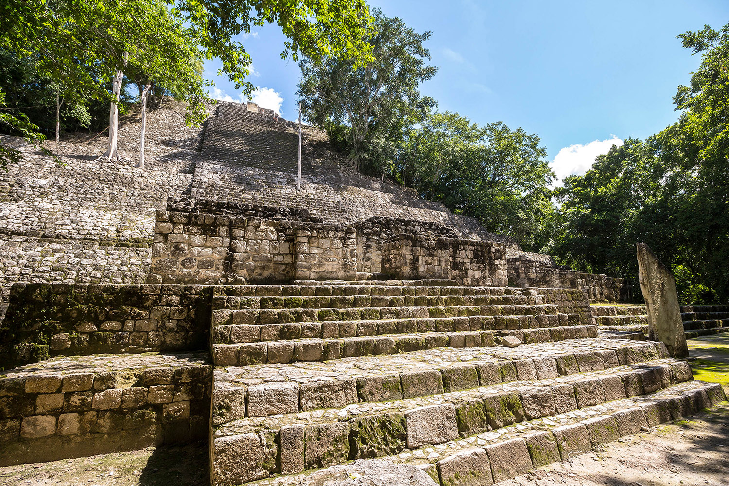 Calakmul Maya Ruine