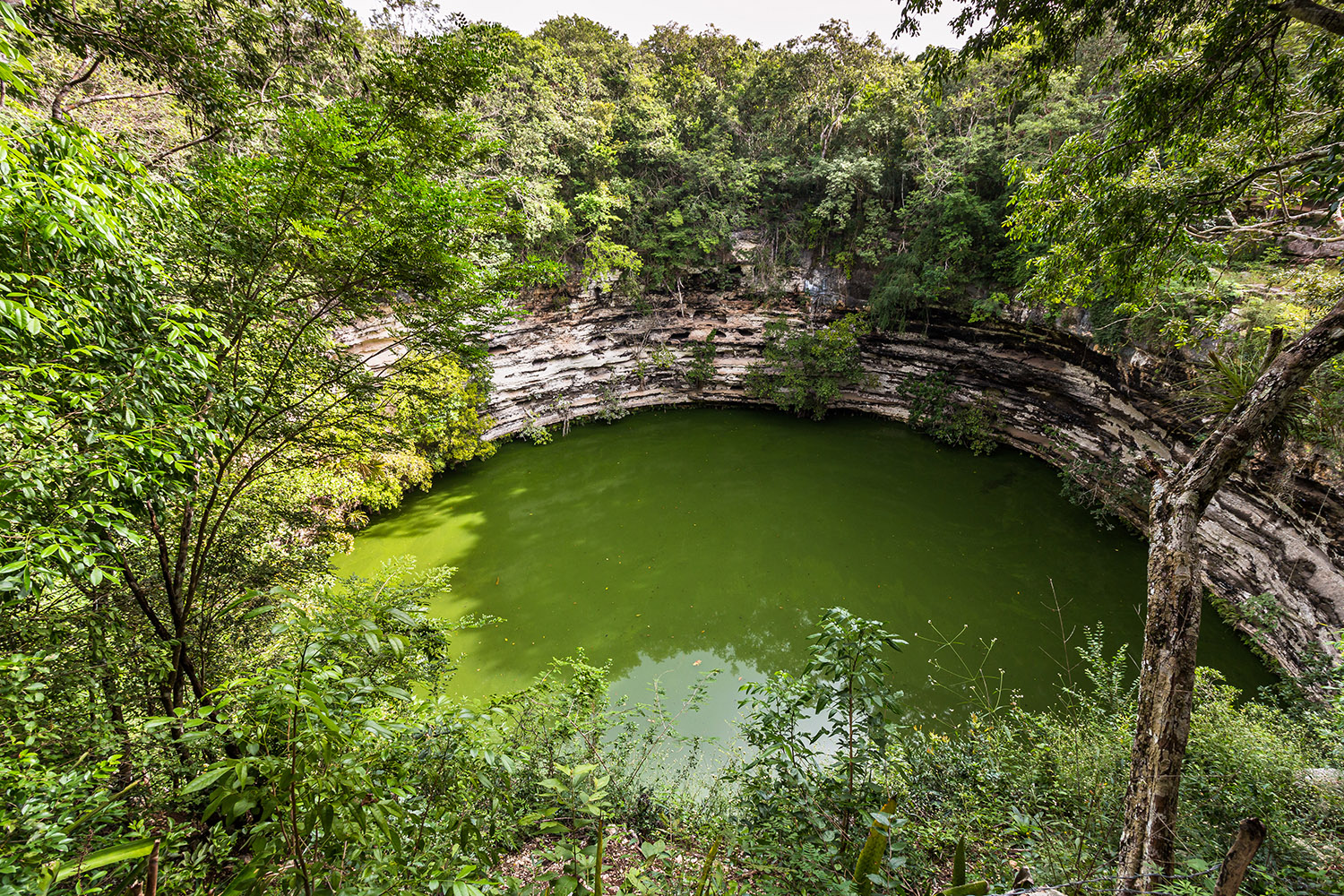 Cenote Sagrado bei Chichen Itza