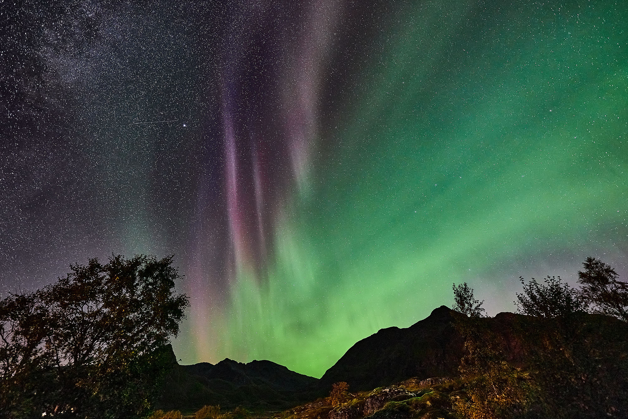 Lofoten Polarlichter