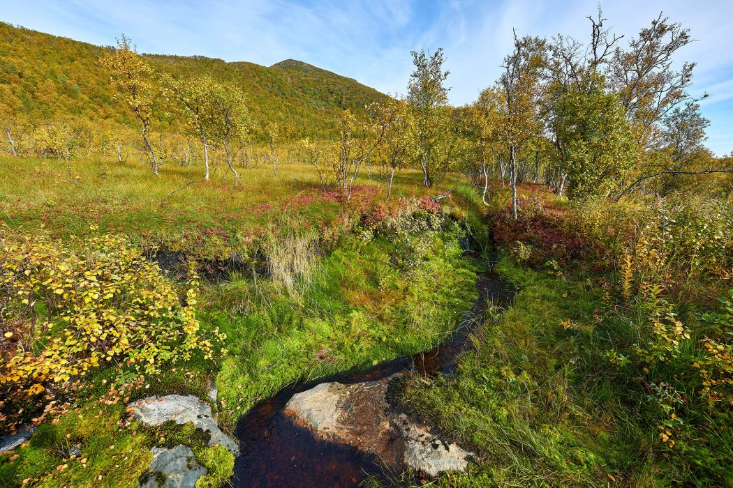 Hudfjellet Wanderung