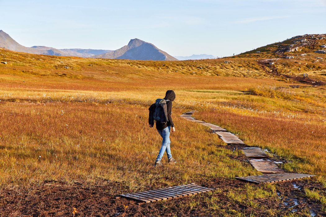 Hudfjellet Wanderung - Holzplanken über Moor