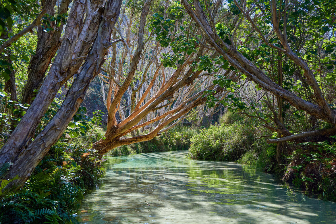 Fraser Island