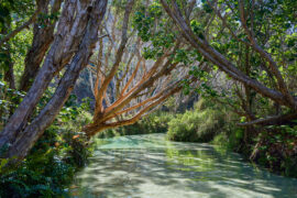 Fraser Island