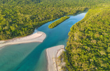 Daintree Rainforest